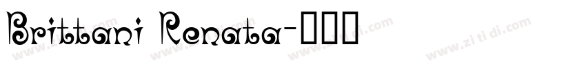 Brittani Renata字体转换